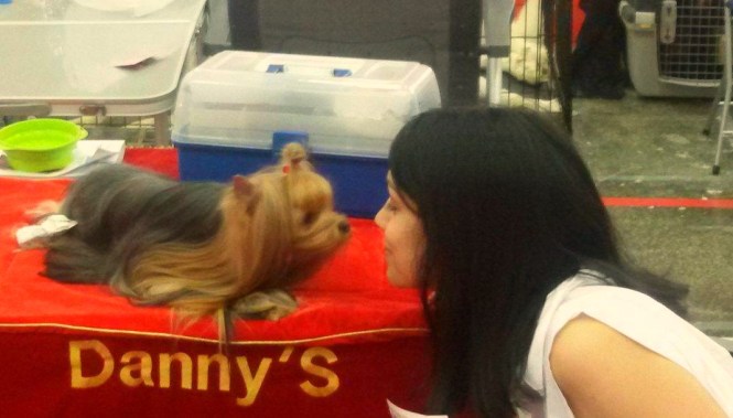 12970562_1756439504588895_202488247_o1