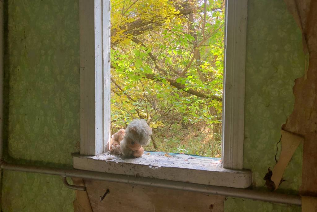 A creepy, little toy left on a window in the Exclusion Zone.