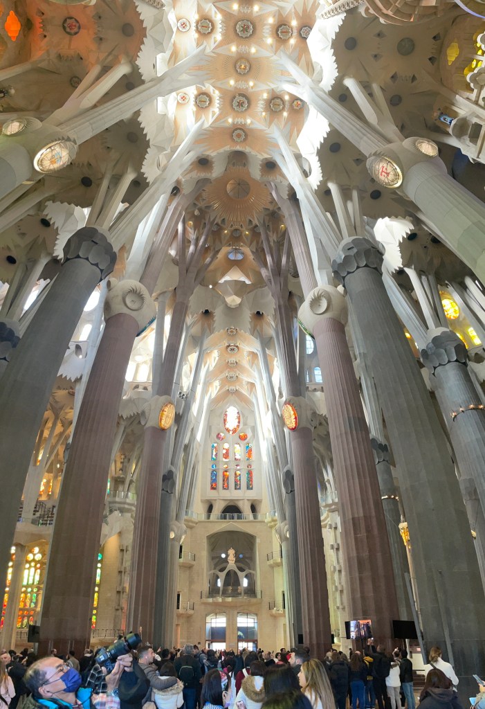 The interior of Sagrada Familia with its tree-looking columns.